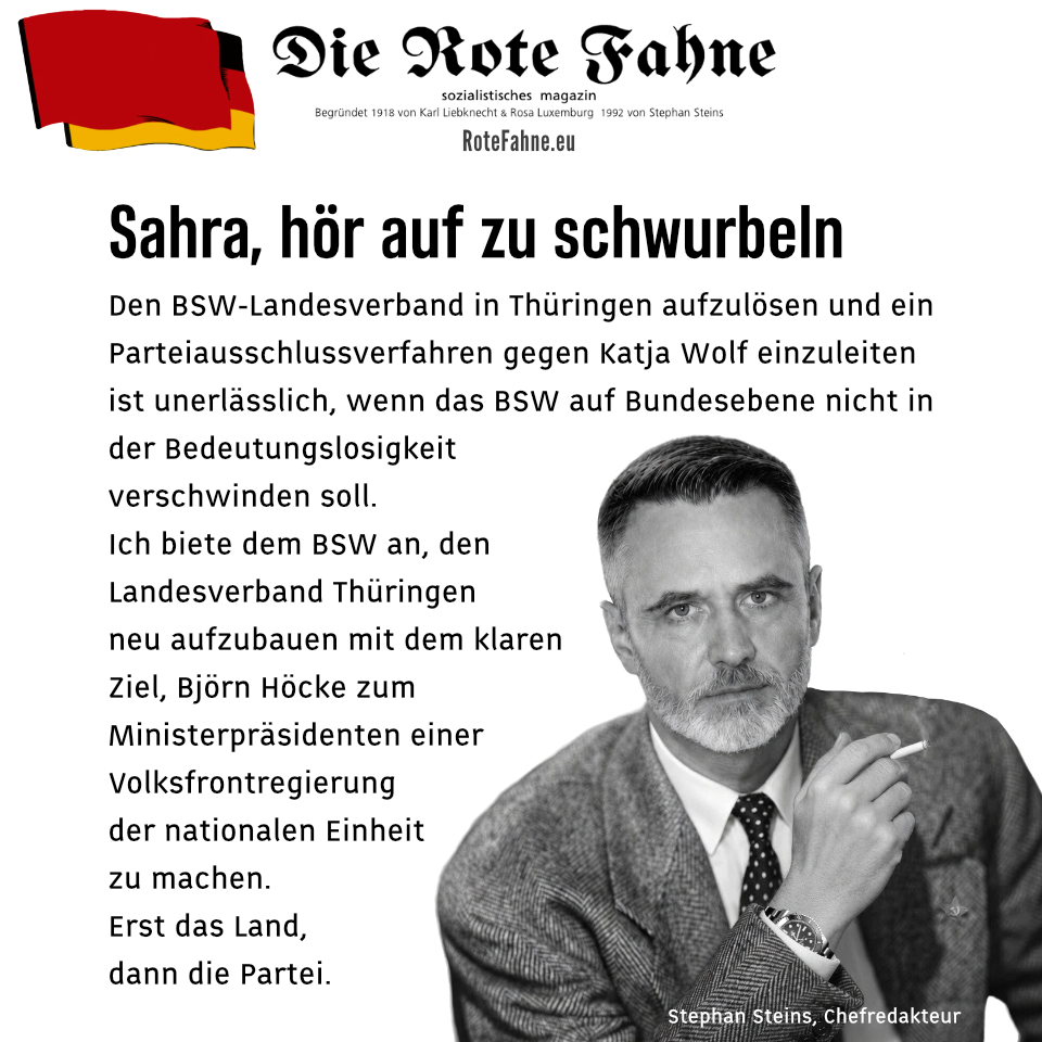 Stephan Steins: Sahra, hör auf zu schwurbeln